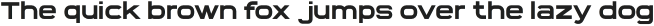 Vastine Medium otf (500)