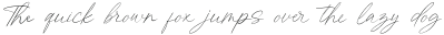 Kingston Signature otf (400)