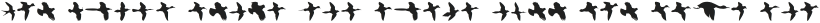 BirdsFlying Regular otf (400)
