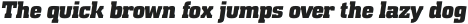 Special Forces Italic otf (400)