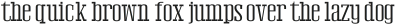 Netic regular ttf (400)