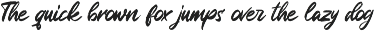 Rugani Payne - Textured Brush Font preview