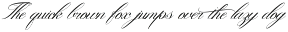 Gallisia Script preview