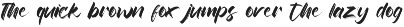 Rinjany - Textured Brush Font preview