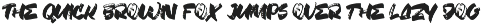 Fany Brush - Textured Brush Font preview