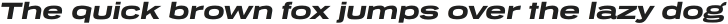 Tussilago Heavy Italic otf (800)