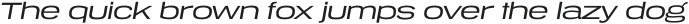 Tussilago Book Italic otf (400) Sample