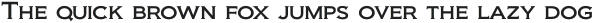 Biondi Book otf (400)