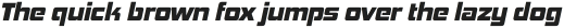 Hemi Head Heavy Italic otf (800)
