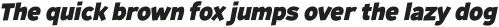 Remissis Heavy Italic otf (800)