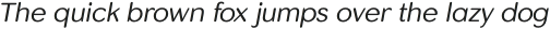 Skirt Light Italic otf (300)