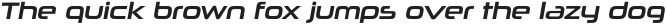 Neuropolitical Regular Italic otf (400)