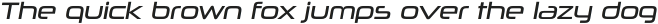 Neuropolitical Book Italic otf (400)