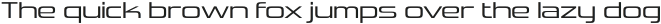 Vipnagorgialla Light otf (300)