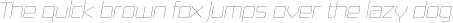 Board of Directors UltraLight Italic otf (300)
