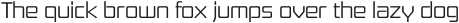 Board of Directors Light otf (300)