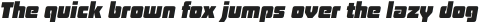 Board of Directors Black Italic otf (900)