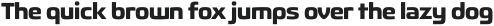 Fluctuation Bold otf (700)