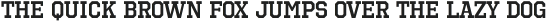 Octin Sports SemiBold otf (600)