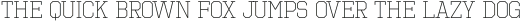 Octin Sports Light otf (300)