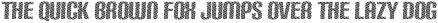 Carbon Fence otf (400)