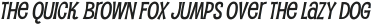 Pupcat Bold Italic otf (700)
