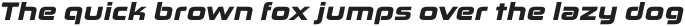 Zekton Extended Black Italic otf (900)