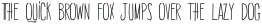 DualLine Medium otf (500)