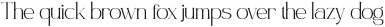 Milan Thin otf (100)