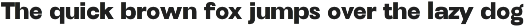 Henju Sans - Variable Font preview