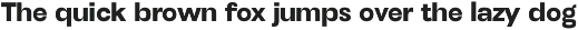 Henju Sans - Variable Font preview