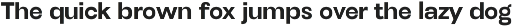 Henju Sans - Variable Font preview