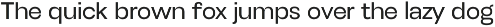 Henju Sans - Variable Font preview