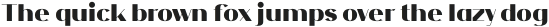 NF Elena Black otf (900)