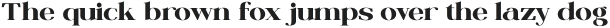 MILONER Heavy otf (800)