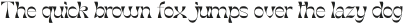 MolexShoora-Bold otf (700)