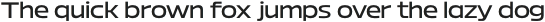 Bizmo Medium otf (500)