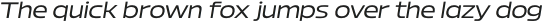 Bizmo-Oblique otf (400)