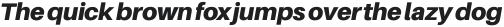 Black Italic ttf (900)