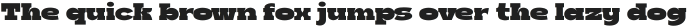 Boldie Slab Regular ttf (700)