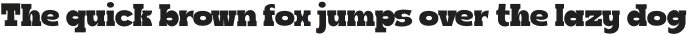 Boldie Slab Condensed otf (700)