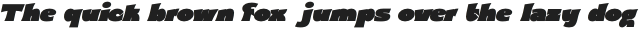Oui Wolfie Bold Condensed Italic otf (700)