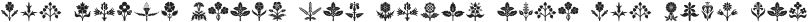 Blooming Ornaments ttf (400)