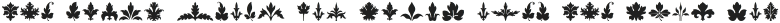 FoliageOrnaments Regular otf (400)