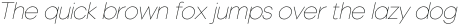 Marzano Thin Italic otf (100)