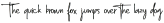 Diamond Signature Regular otf (400)