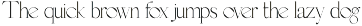 MOON CROWD - Elegant & Stylish Serif font preview