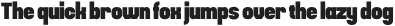 GHEA Pastar Heavy Extra Condensed otf (800)