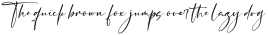 Senorita Signature Italic otf (400)