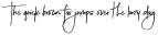 Lovelight Alt otf (300)